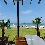 Lillies Sunny Relax سوزوبول